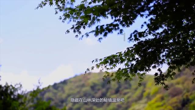 16+512G大内存，骁龙8G2+超声波指纹+50MP三摄，魅族也有真香机！
